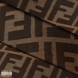 Fendi Flex