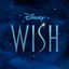 A Wish Worth Making cover