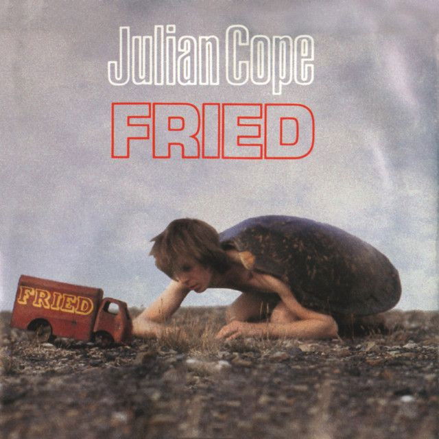 Julian Cope profile