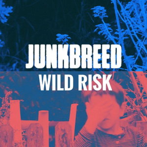 Wild Risk Junkbreed - Wild Risk Lyrics Meaning | Lyreka