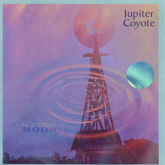 Jupiter Coyote profile