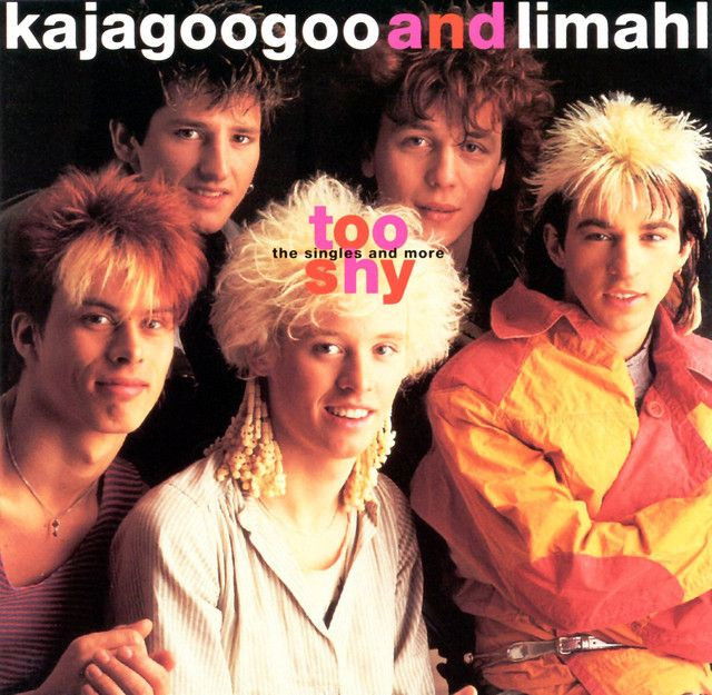 Kajagoogoo profile