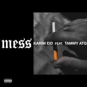 Mess