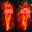 burn SLOW cover