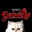 Gabriela cover