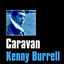 Caravan cover