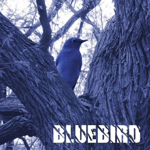 Blue Bird