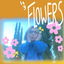 Flowers cover