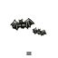 Bats Fly cover