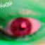 dragonfli3$ cover