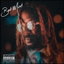 Intro cover