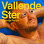 Vallende Ster cover