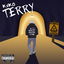 Terry cover