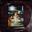 Shrooms cover