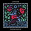 Contaminado cover