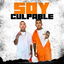 Soy Culpable cover