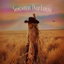 Somewhere Over Laredo cover