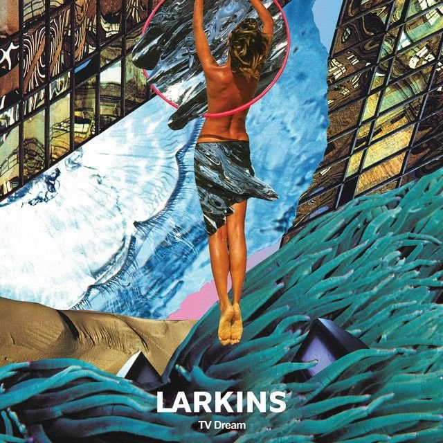 Larkins profile