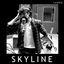 Skyline cover