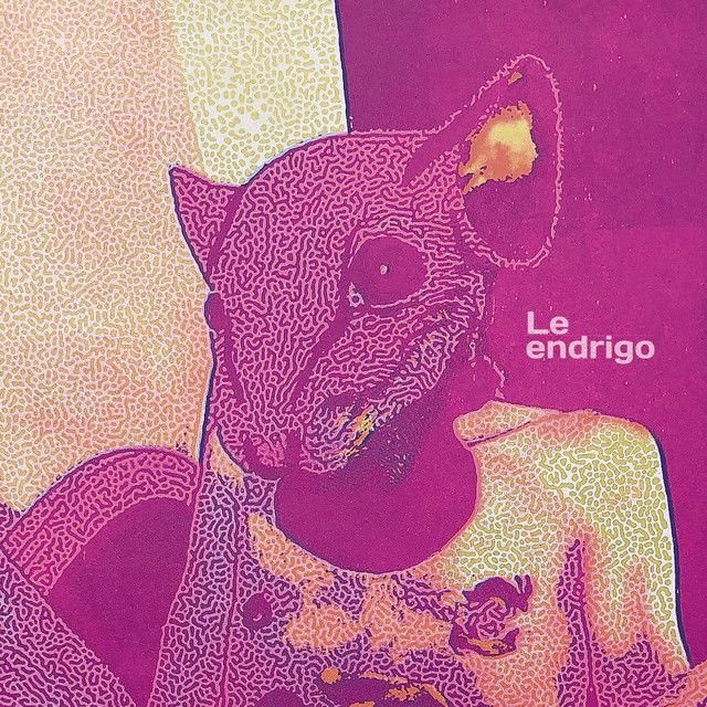 Le Endrigo profile