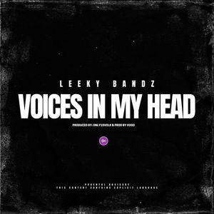 Voices In My Head