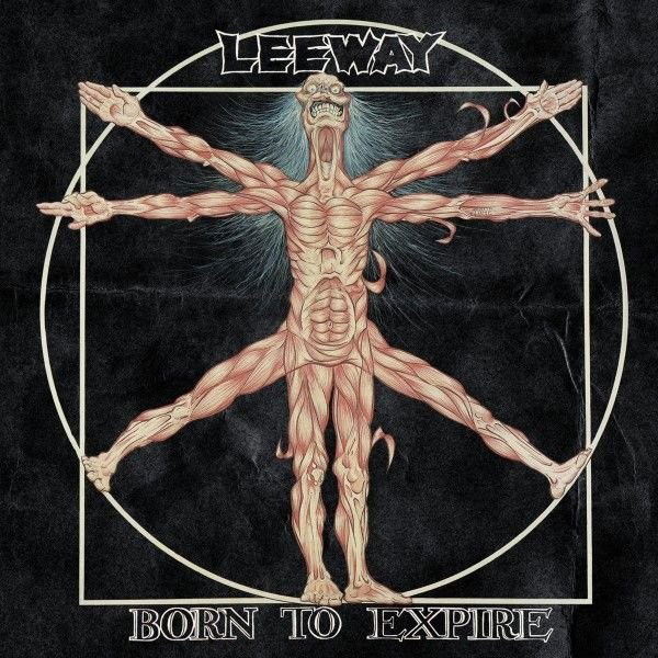 Leeway profile