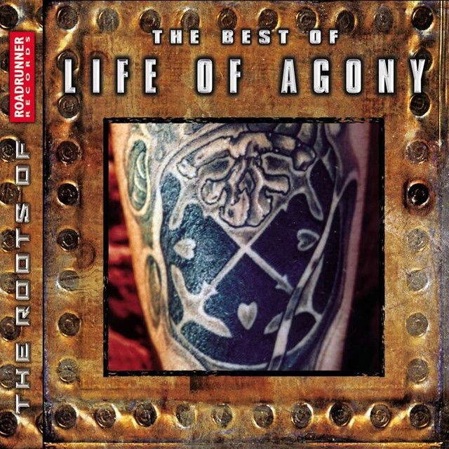 Life of Agony profile