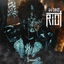 Riot cover