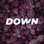 Down cover