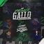 Mi Primer Gallo cover