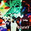 Dummy cover