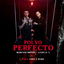 Polvo Perfecto cover