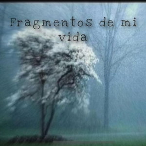 Fragmentos de mi vida
