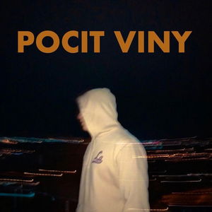 Pocit viny