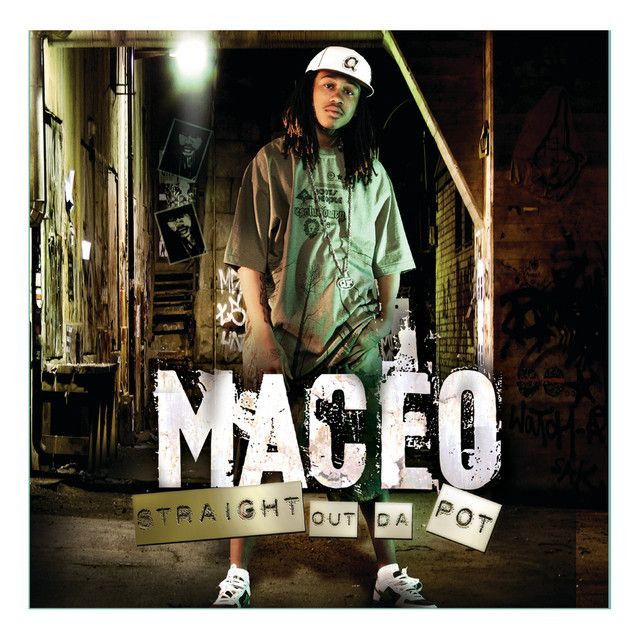 Maceo profile