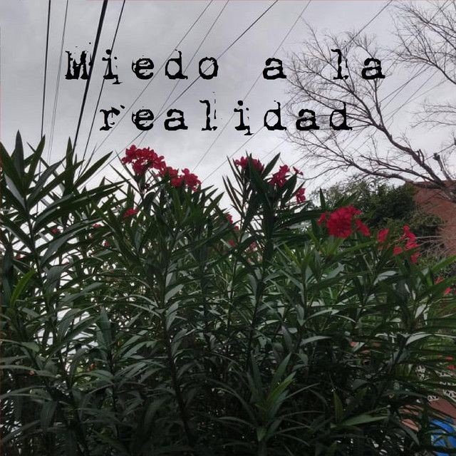 Miedo a la realidad
