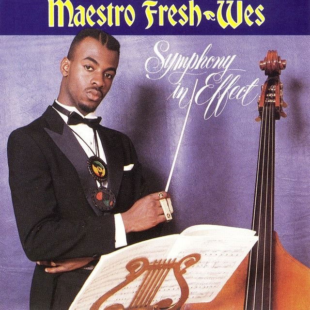 Maestro Fresh‐Wes profile