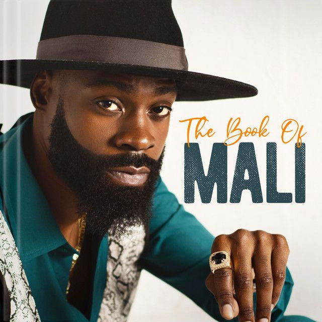 Mali Music profile