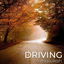 Driving cover