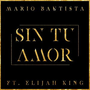 Sin Tu Amor