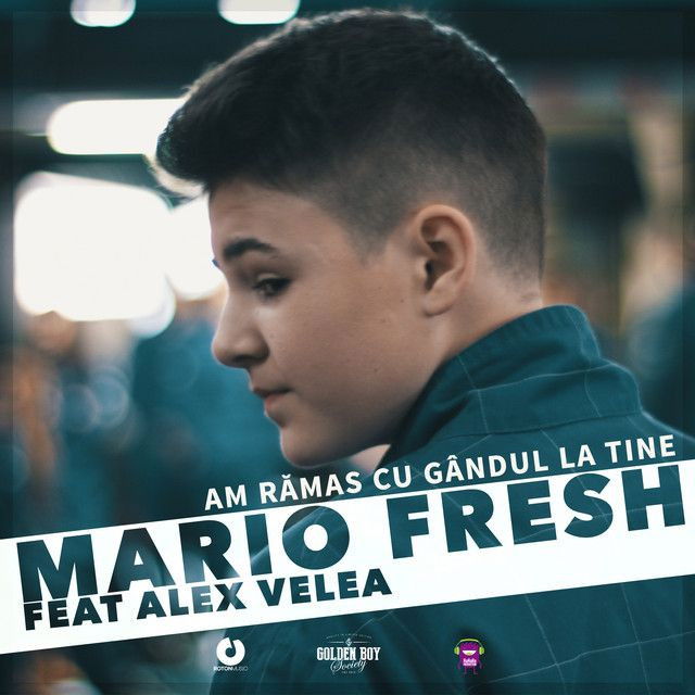 Mario Fresh profile