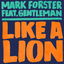 Like a Lion cover