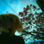 I Wish cover