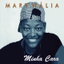 Contradição cover