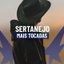 Cerveja, Sal E Limão cover