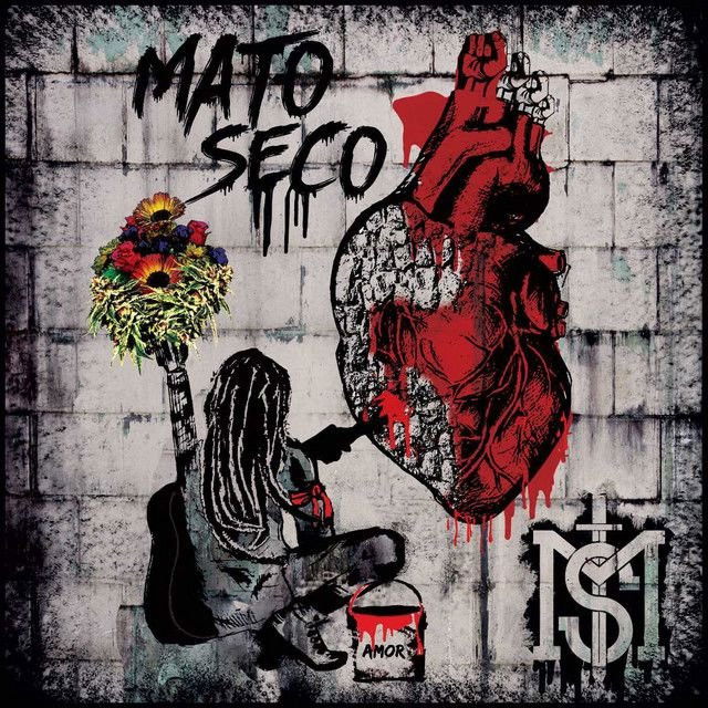 Mato seco profile