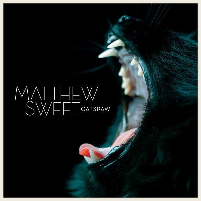 Matthew Sweet profile