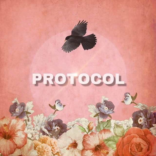 Protocol