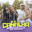 Seu Canalha cover