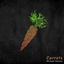 Carrots cover